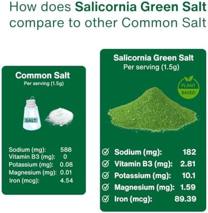 SaltWise Green Salt – 50% Less Sodium, Plant-Based Salt Substitute, 100% Dehydrated Salicornia, Natural Umami, No additives (Pack of 2)