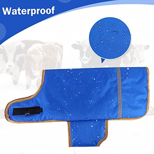 Pro Calf Blanket, Calf Warm Clothes Calf Saver Coat Blanket for Keep Cow Warmming Thickened Belly Protection Windproof Livestock Protector (A piece of Blue with Flannel Lining)