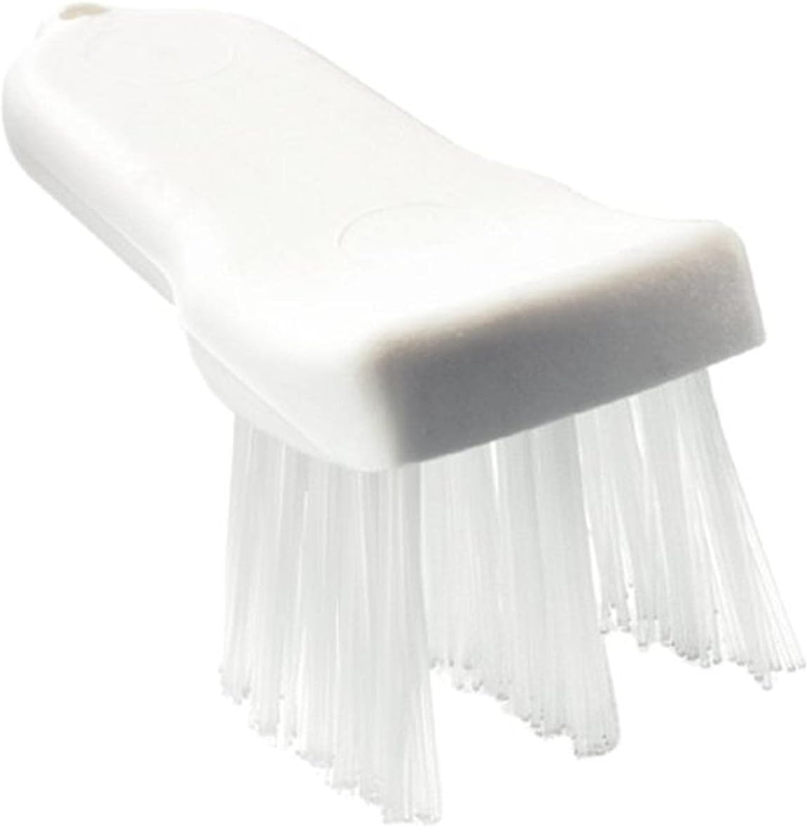 Carlisle FoodService Products 4052900 Lettuce, Fry, and Onion Cutter Brush, Nylon Bristles, 2-1/2" Length x 2-1/2" Width Brush, 6" Length