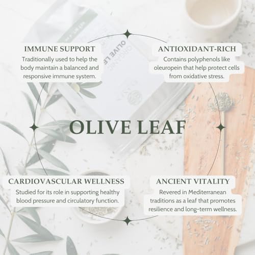 Organic Olive Leaf Tea 4 oz (113g), USDA Certified Organic Olive Leaves, Dried Hojas de Olivo Organico, Cut and Sifted