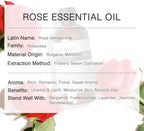 Rose Essential Oil 100ML, 100% Pure Natural Rose Oil for Hair Face Skin Care, Premium Grade Essential Oils for Diffuser, Skin, Care Massage, Yoga, Bath, Soap and Candle Making