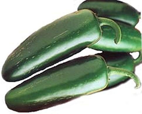 Mucho Nacho Jalapeno Peppers - GREAT STUFFERS!! Mild & Tasty..!!!!(50 - Seeds)