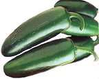 Mucho Nacho Jalapeno Peppers - GREAT STUFFERS!! Mild & Tasty..!!!!(50 - Seeds)