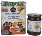 Honey XP Raw Himalayan Wild Forest Honey – 100% Pure & Natural – No Added Sugar – Unprocessed & Cold-Filtered – 680g (24 oz) Glass Jar – Harvested from Indian Himalayas