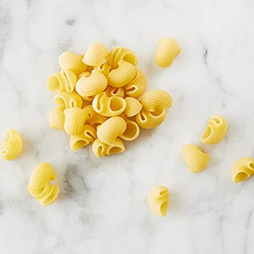 Montebello Organic Conchiglie, 1 lb (4-Pack)