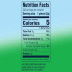 EXTRA Refreshers Spearmint Chewing Gum, 40 Pieces (Pack of 6)