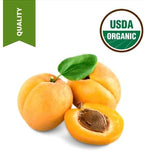 1 Gallon USDA Organic Cold Pressed Unrefined Apricot Kernel Oil