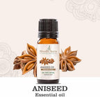 Aniseed Essential Oil - Pimpinella Anisum | 100% Pure, Natural, Therapeutic Grade Oils for Aromatherapy, Diffuser & DIY (100ML)