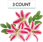 Global Sugar Art Stargazer Lily Sugar Cake Flowers with Leaf Sprays, 3 Count by Chef Alan Tetreault