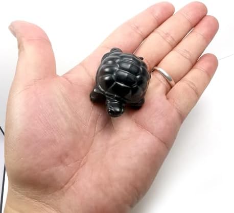 RICHRAIN Shungite Turtle, Pocket Shungite Home Protection Crystals and Stones