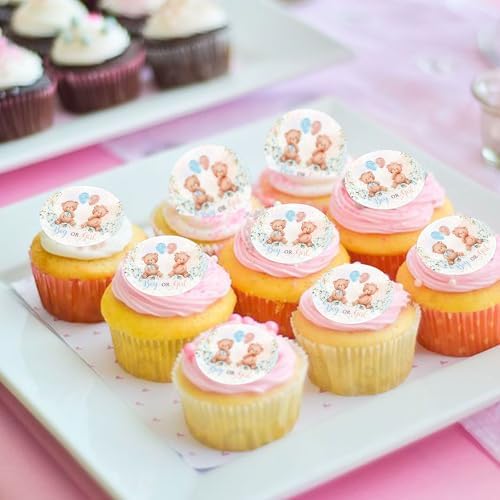 40Pcs Edible Circle Boy or Girl Baby Bears Cupcake Toppers for Gender Reveal Boy-Girl Twins Bear Cupcake Picks for Twins Baby Shower Boys Girls Bearly Birthday Cupcake Decoratiions