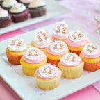 40Pcs Edible Circle Boy or Girl Baby Bears Cupcake Toppers for Gender Reveal Boy-Girl Twins Bear Cupcake Picks for Twins Baby Shower Boys Girls Bearly Birthday Cupcake Decoratiions