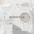 Organic Horsetail Herb 4 oz. (113g), USDA Certified Organic Cola de Caballo Hierba, Horse Tail Plant Tea, Shave Grass Loose Leaf for Hair Growth, Cut & Sifted