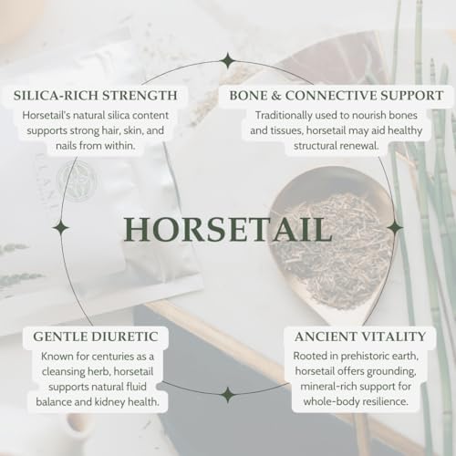 Organic Horsetail Herb 4 oz. (113g), USDA Certified Organic Cola de Caballo Hierba, Horse Tail Plant Tea, Shave Grass Loose Leaf for Hair Growth, Cut & Sifted