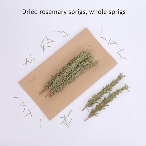 DYBOEDYO Dried Whole Rosemary Sprigs, 3.53oz(100g), 50~70 Rosemary Fresh Sprigs, Grade Dried Rosemary Sprigs for Baking & Beverages, Spices and Seasonings for Cooking Red Wine, Frying Steak, Pasta and Western Cuisine