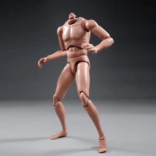 1:6 Scale Nude Male Figure Body, Europe/Asian Skin Muscular Body Model Man Action Figure Fit 12Inch Doll Without Head Sculpt for Head with Neck (MX02-A)