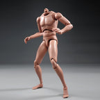 1:6 Scale Nude Male Figure Body, Europe/Asian Skin Muscular Body Model Man Action Figure Fit 12Inch Doll Without Head Sculpt for Head with Neck (MX02-A)