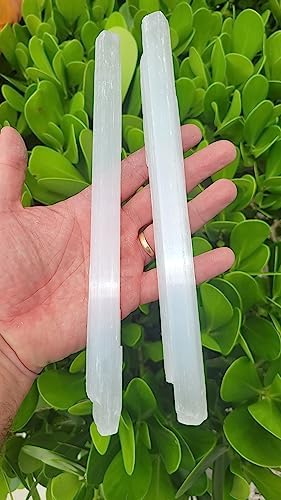 Two (2) Selenite Wand Stick 8-10 Inches Long - 0.5 to 1 inch Wide - Rough Stick - Healing Stone