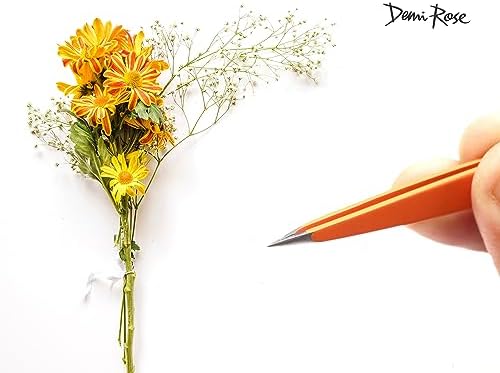 Pointed Tweezers - High Carbon Stainless Steel Fine Point Precision Tweezers for Ingrown Hair Removal - Perfectly Aligned Hand Filed Sharp Tweezer - Needle Nose Tweezers (Orange)