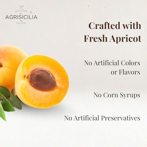 Agrisicilia Sicilian Apricot Jam – Authentic Italian Fruit Preserve, Made in Sicily, 12.7 oz (360 g) Glass Jar