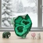 0.33-0.66 lb Natural Malachite Slabs - Premium Polished Crystal Slices for Home & Office Decor - Unique Raw-Edged Healing Stones 2-4 inch (0.44-0.66 lb)