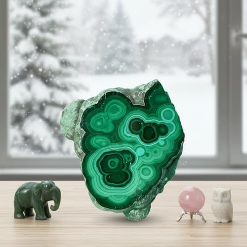 0.33-0.66 lb Natural Malachite Slabs - Premium Polished Crystal Slices for Home & Office Decor - Unique Raw-Edged Healing Stones 2-4 inch (0.44-0.66 lb)