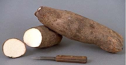 African Tuber of Yam (5 Tubers)