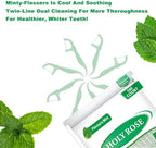 Holy Rose Twin Line Dental Floss Picks - 300 Count Pack, for Adults Flossers,Mint Flavor, Dual-Action Cleaning Teeth, Flossing Sticks Toothpicks Oral Tool Kit