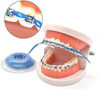 RZJZGZ 10 Pcs Dental Orthodontic Elastic Chain Power Chains Brace Orthodontic Spool Elastic Rubber Band(4.5M/PACK) (Long)