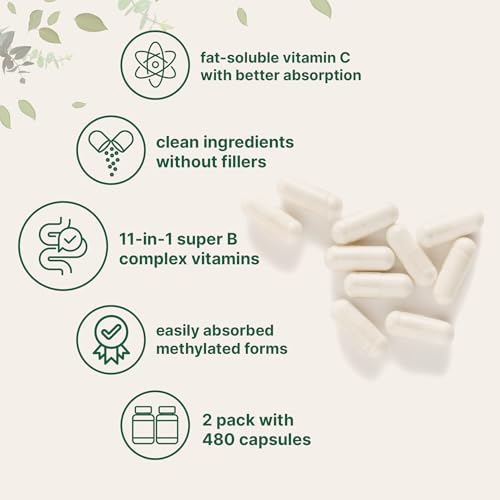 Micro Ingredients 2 Pack Pure Methylated B Complex, 480 Capsules | 11-in-1 Formula with B12, Thiamin, Folate, Inositol, Choline, & Vitamin C | Filler Free | Non-GMO