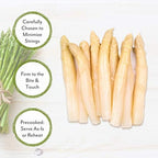 Roland Foods Canned White Asparagus Spears in Brine, 14.1 Ounce Tin, Pack of 6
