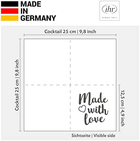 Boston International IHR Floral Fall Autumn Thanksgiving 3-Ply Paper Napkins, 20-Count Cocktail Size, Glory Harvest- Cream