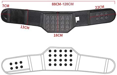 Lumbar Brace Back Support Belt for Men & Women with 26 Magnets for Lower Back Pain Relief Scoliosis Herniated Disc Sciatica (Size : L)