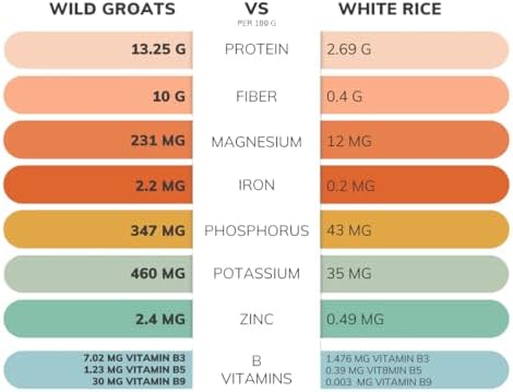 WILD GROATS Organic Raw Buckwheat - Grown in USA, Sproutable Seeds, 16 Oz. Gluten Free, Hulled, Vegan Complete Protein, Whole Grain, Non-GMO | For Sprouting, Flour, Cereal, Porridge, Cooking