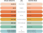 WILD GROATS Organic Raw Buckwheat - Grown in USA, Sproutable Seeds, 16 Oz. Gluten Free, Hulled, Vegan Complete Protein, Whole Grain, Non-GMO | For Sprouting, Flour, Cereal, Porridge, Cooking