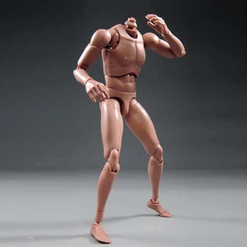 1:6 Scale Nude Male Figure Body, Europe/Asian Skin Muscular Body Model Man Action Figure Fit 12Inch Doll Without Head Sculpt for Head with Neck (MX02-A)