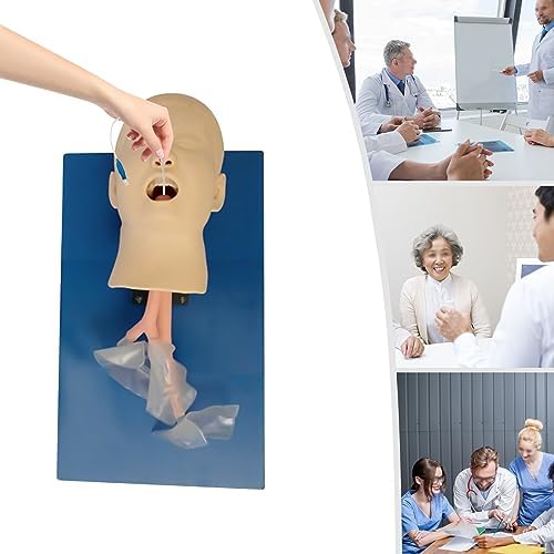 Intubation Model, Airway Management Trainer Intubation Manikin Oral Nasal Training Study Tracheal Baby Care Teaching Simulator Model,for Lab Education School