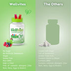 Wellvites Kids Multivitamin Gummies - Sugar Free, Vegan, Non-GMO, Vitamin A, D, B6, B12 and C - No Artificial Sweeteners, Gluten-Free, Gelatin-Free - 60 Count (30 Day Supply)