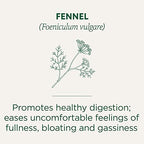 Traditional Medicinals Tea, Organic Fennel, Promotes Healthy Digestion, 96 Tea Bags (6 Pack)