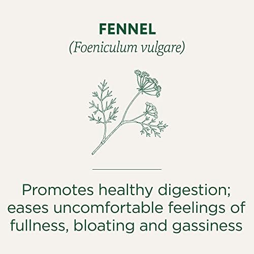 Traditional Medicinals Tea, Organic Fennel, Promotes Healthy Digestion, 96 Tea Bags (6 Pack)