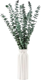 10 Pcs Dried Eucalyptus Stems 17" Real Eucalyptus for Shower Hanging 100% Made from Fresh Leaves, Wedding, Home, Farmhouse, DIY Spring Decor Bathroom Decor Home Decor
