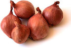 FRESH SHALLOTS - 1LB