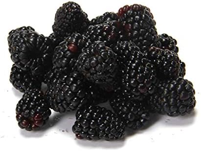 Blackberries, 6 oz