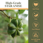 Kah's Journey Star Anise Whole 16 oz for Cooking, Baking, or Brewing Tea, Chinese Star Anise Bulk Bag
