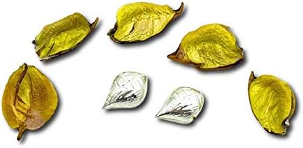 Samyuktha 925 Pure Silver Nariyal (Coconut) for Pooja and Gift Purpose - Set of 2, 1 Gram per Piece