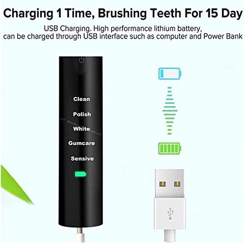 Electric Toothbrush with Replacement Brush Heads and Travel Case