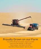 Palouse Brand Certified Glyphosate Residue Free Hard White Wheat Berries | 25 LBS Bucket | Family Farmed in Washington State | Sproutable | Non-GMO Project Verified | Kosher