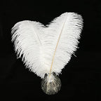 Happy Feather 16-18 inch White Ostrich Feathers Craft for Wedding Party centerpieces Home Decoration DIY Craft Pack of 10