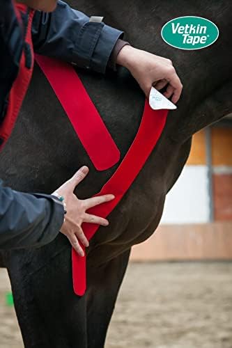 VetkinTape® Veterinary Kinesiology Tape | Tape for Horses & Dogs | Equine & Canine Kinesiotape | Latex Free and Quality Mark Certified Ktape | 1.2 inch | Pack of 2 Rolls (Red)
