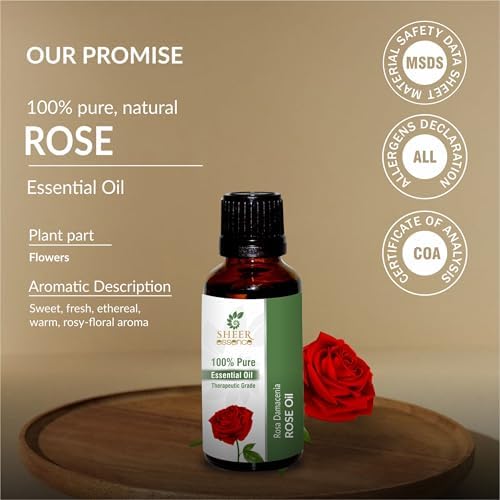 Rose Oil (Rosa Damascena) Steam Distilled 100% Pure Natural Undiluted Therapeutic Grade Essential Oil - Fragrance Oil - Perfume Oil Benefits for Mood, Skin and for Gift 0.16 Fl. Oz.